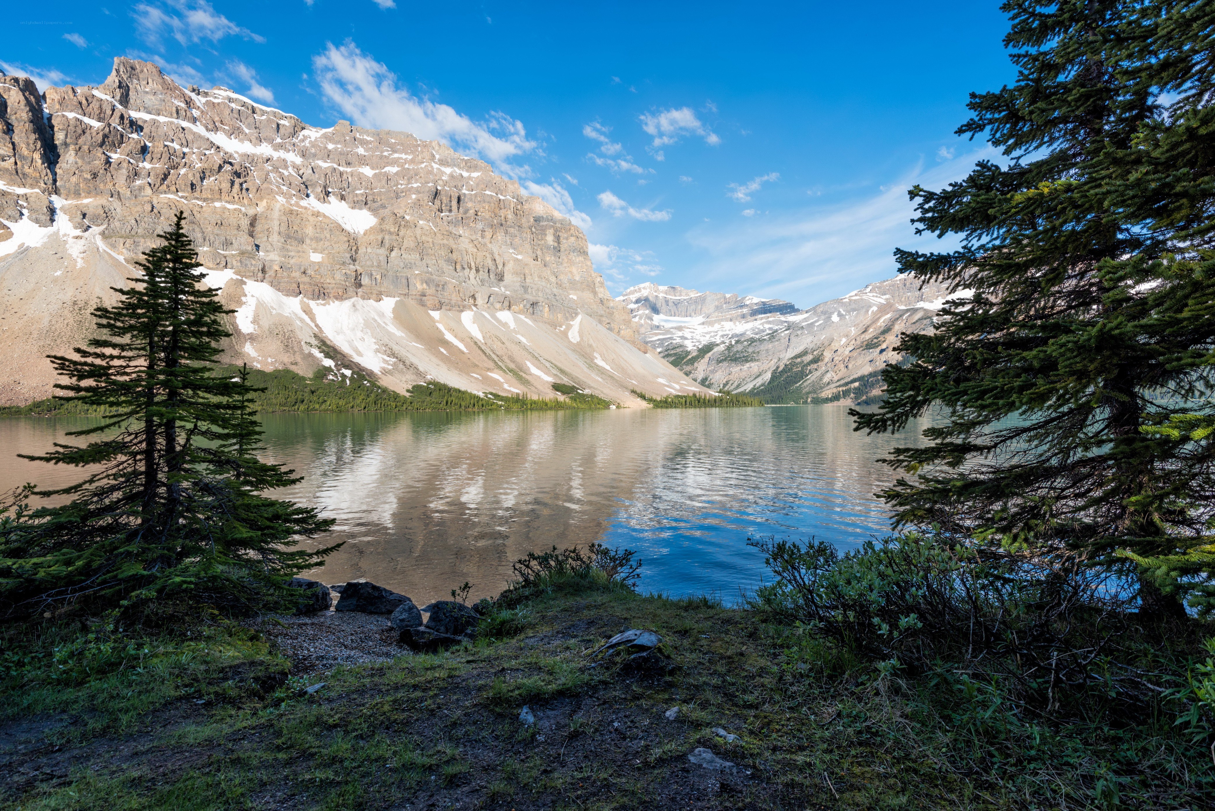 Mountain lake with forest view