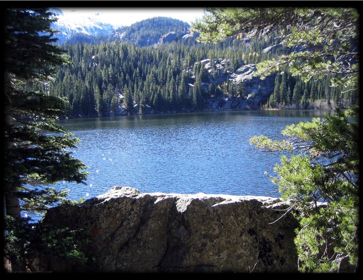 Mountain lake with forest view