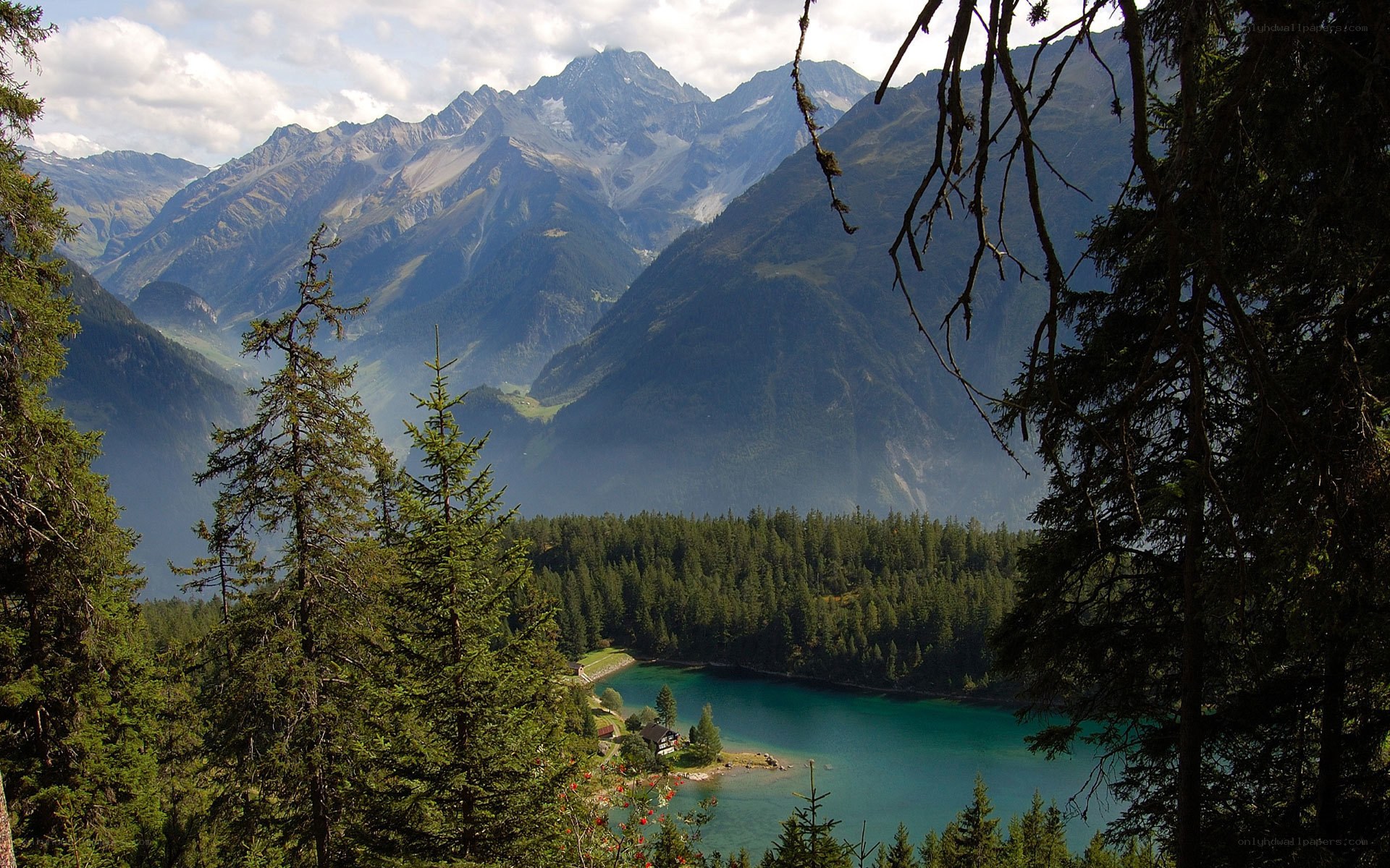 Mountain lake with forest view