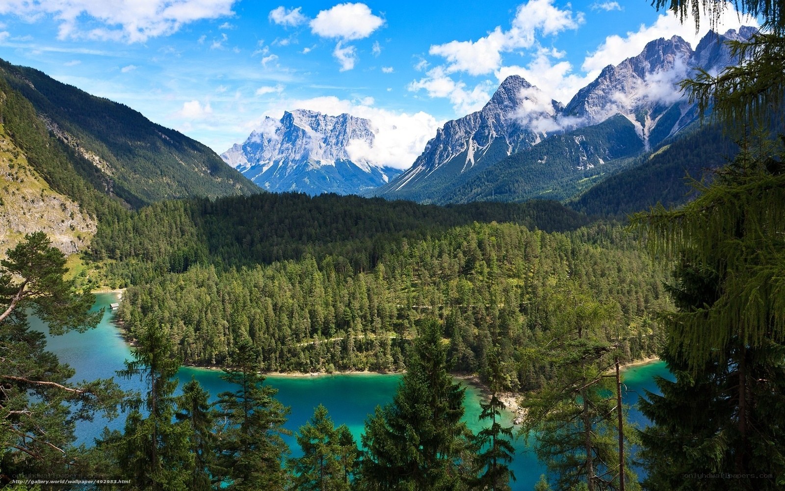 Mountain lake with forest view