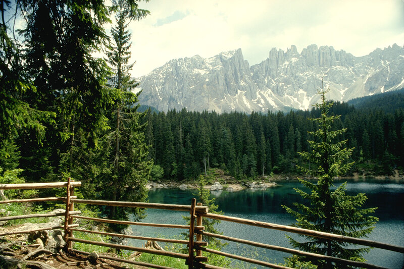 Mountain lake with forest view