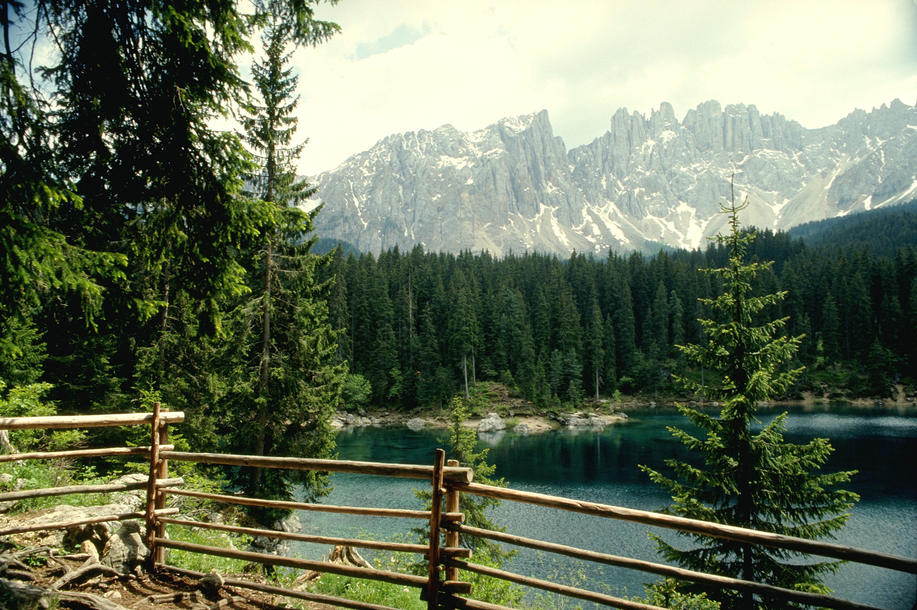 Mountain lake with forest view