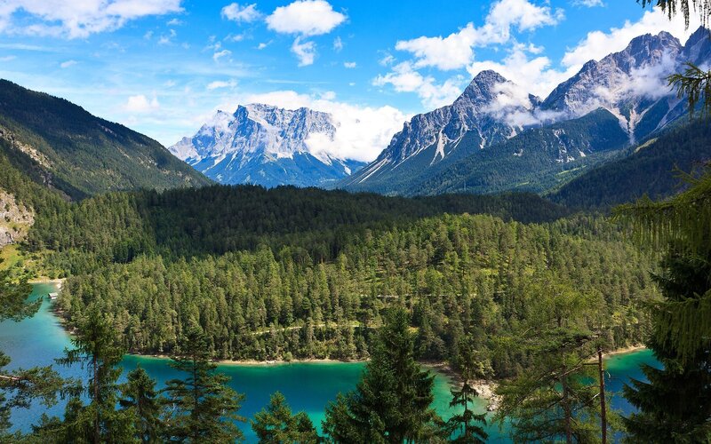 Mountain lake with forest view