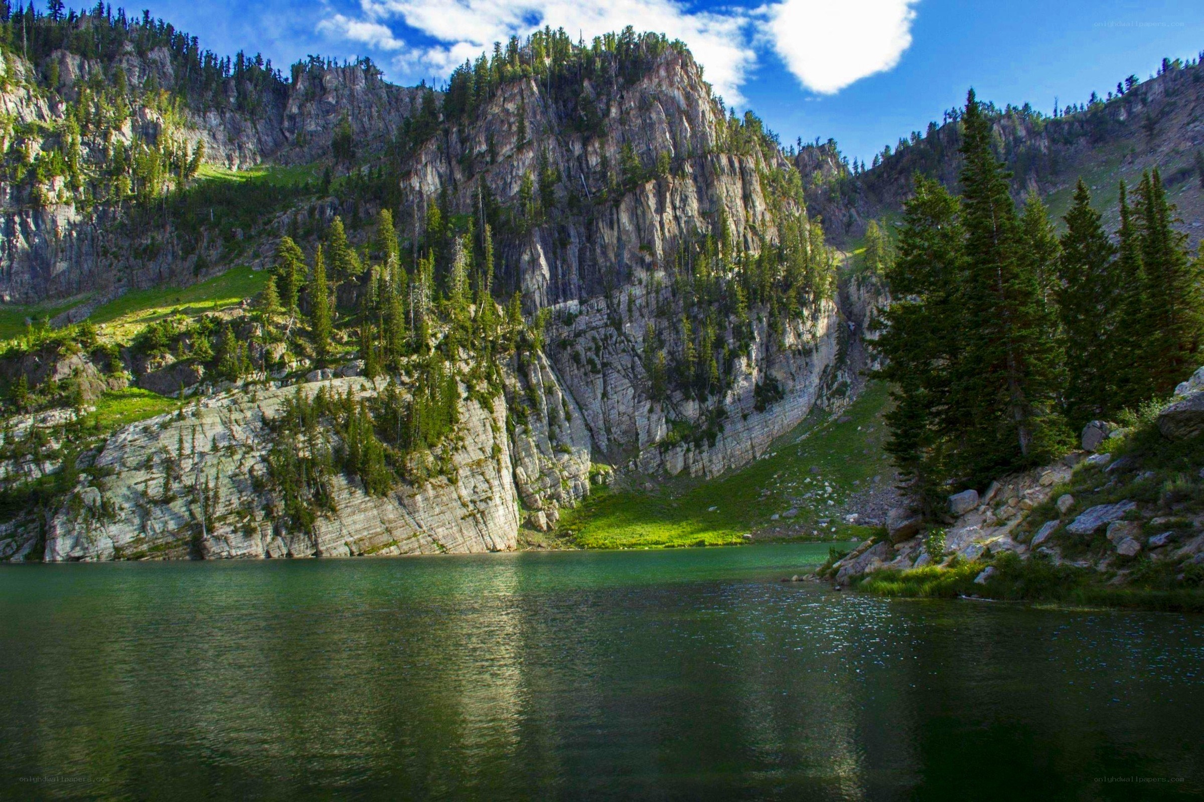 Mountain lake with forested cliffs