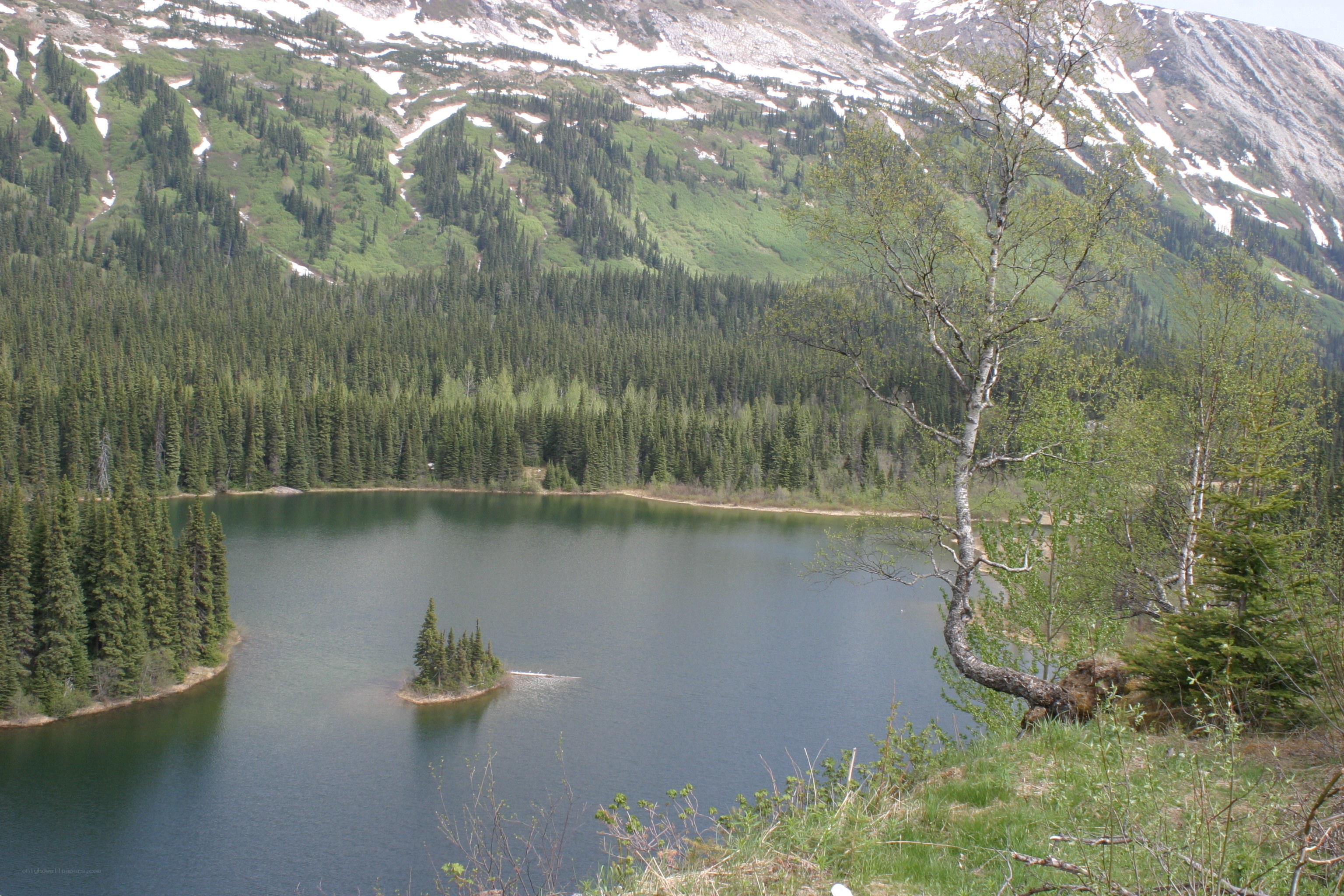 Mountain lake with forested hills