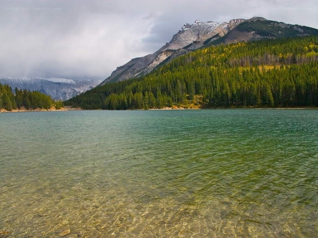 Mountain lake with forested shore
