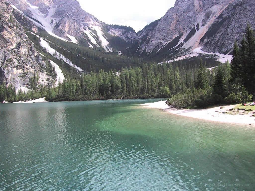Mountain lake with forested shore