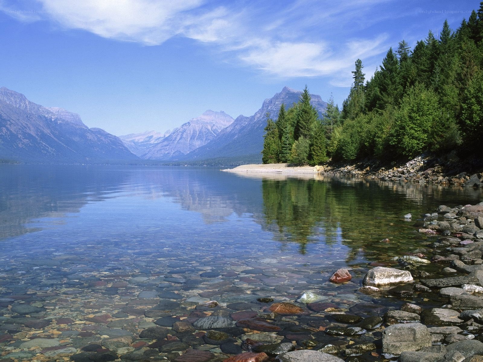 Mountain lake with forested shore