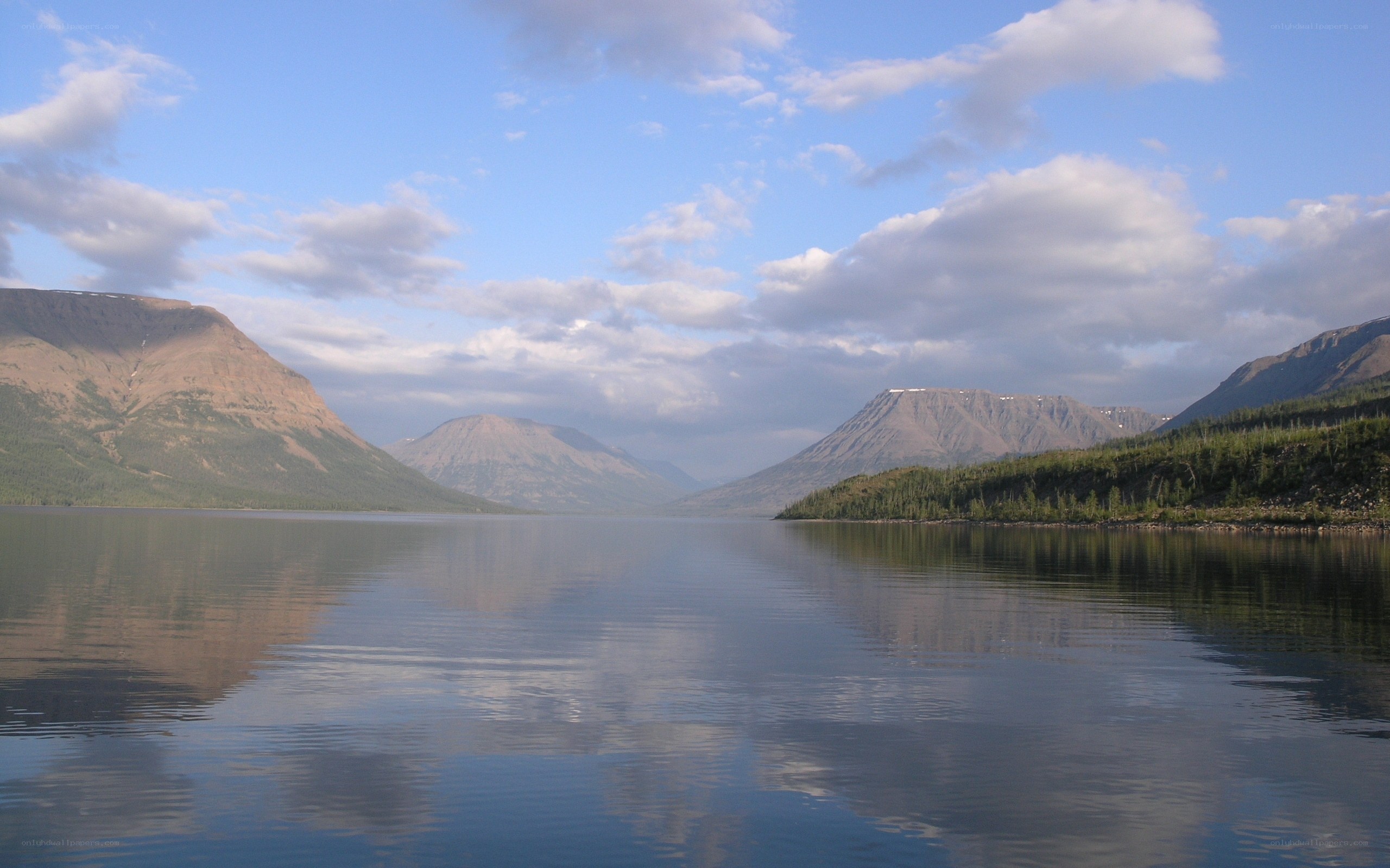 Mountain lake with forested shores