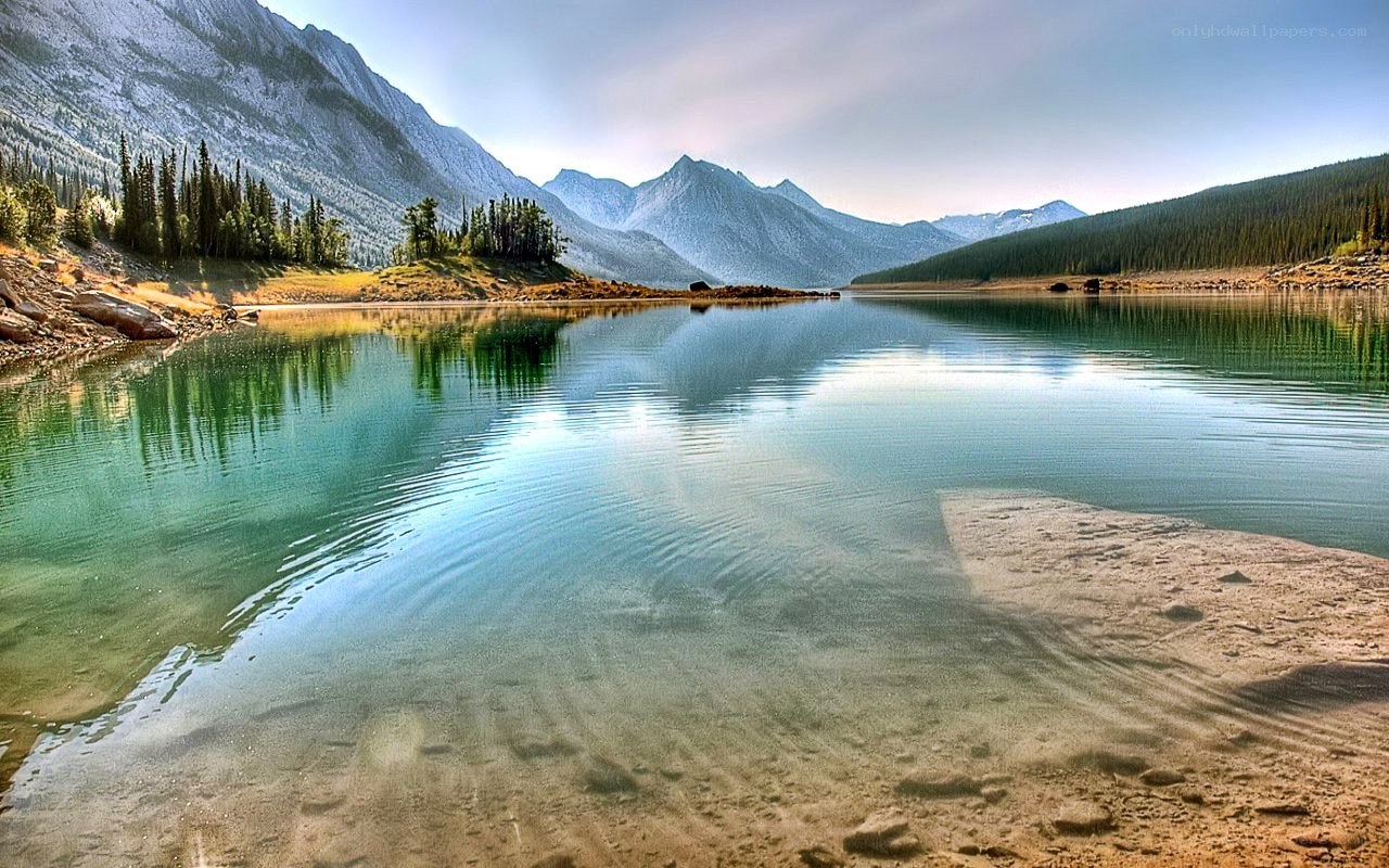 Mountain lake with forested shores