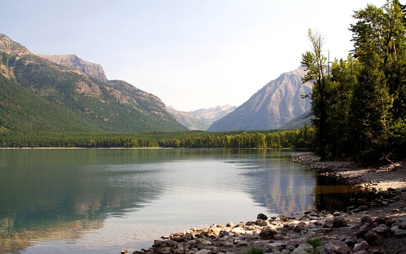 Mountain lake with forested shores