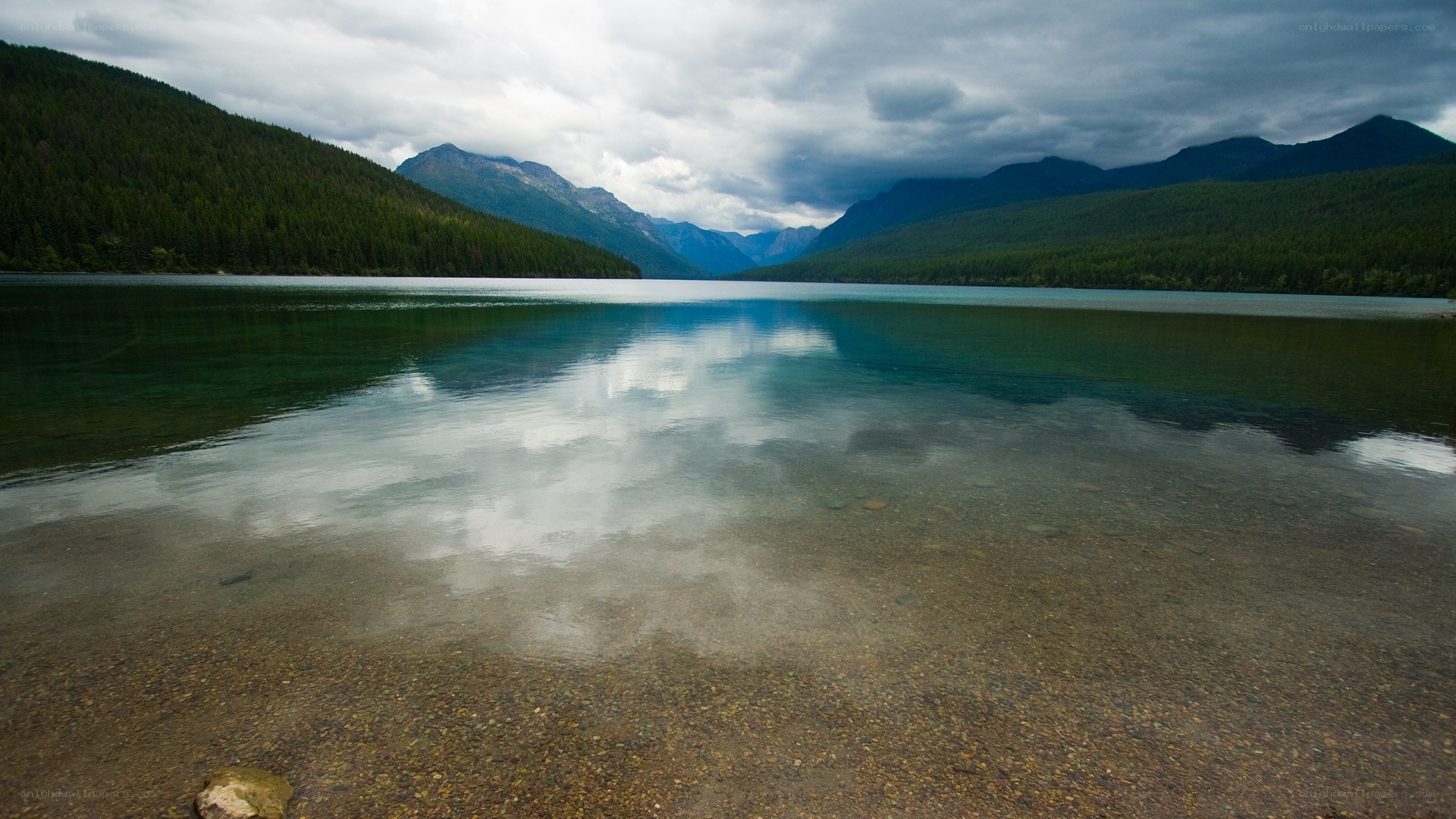 Mountain lake with forested shores