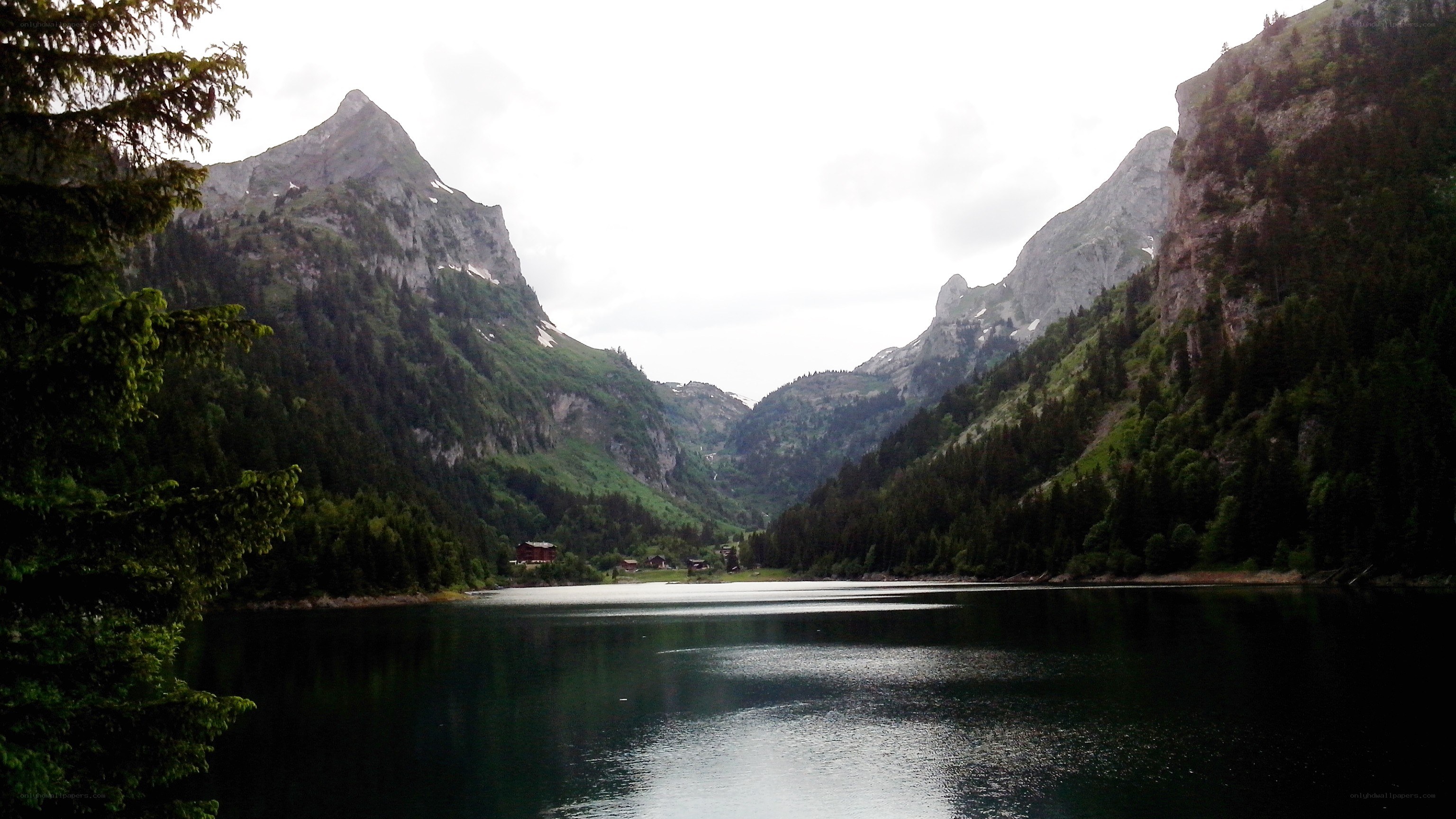 mountain lake with forested slopes