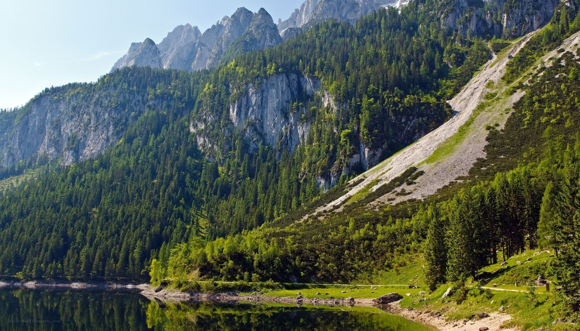Mountain lake with forested slopes