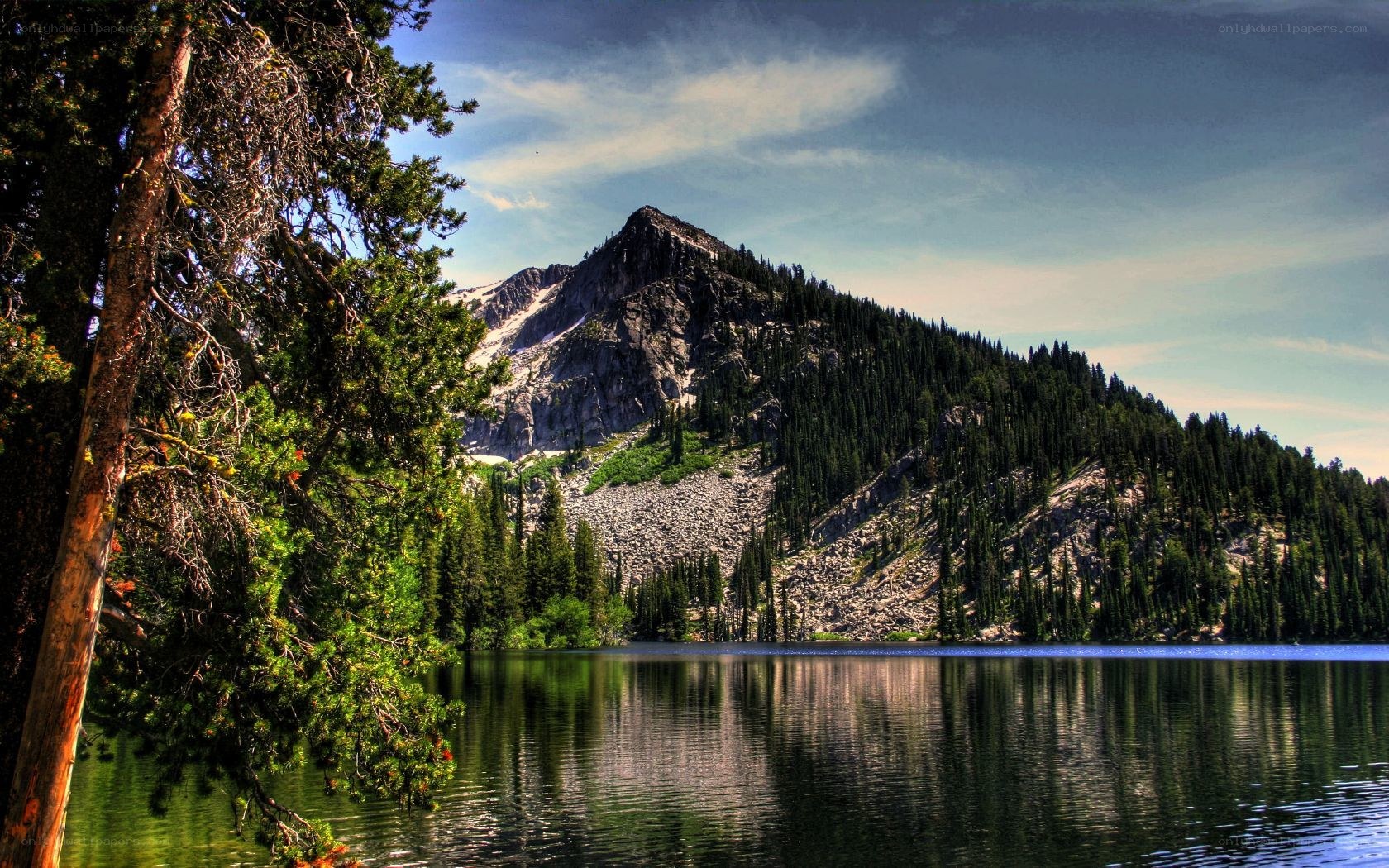 Mountain lake with forested slopes