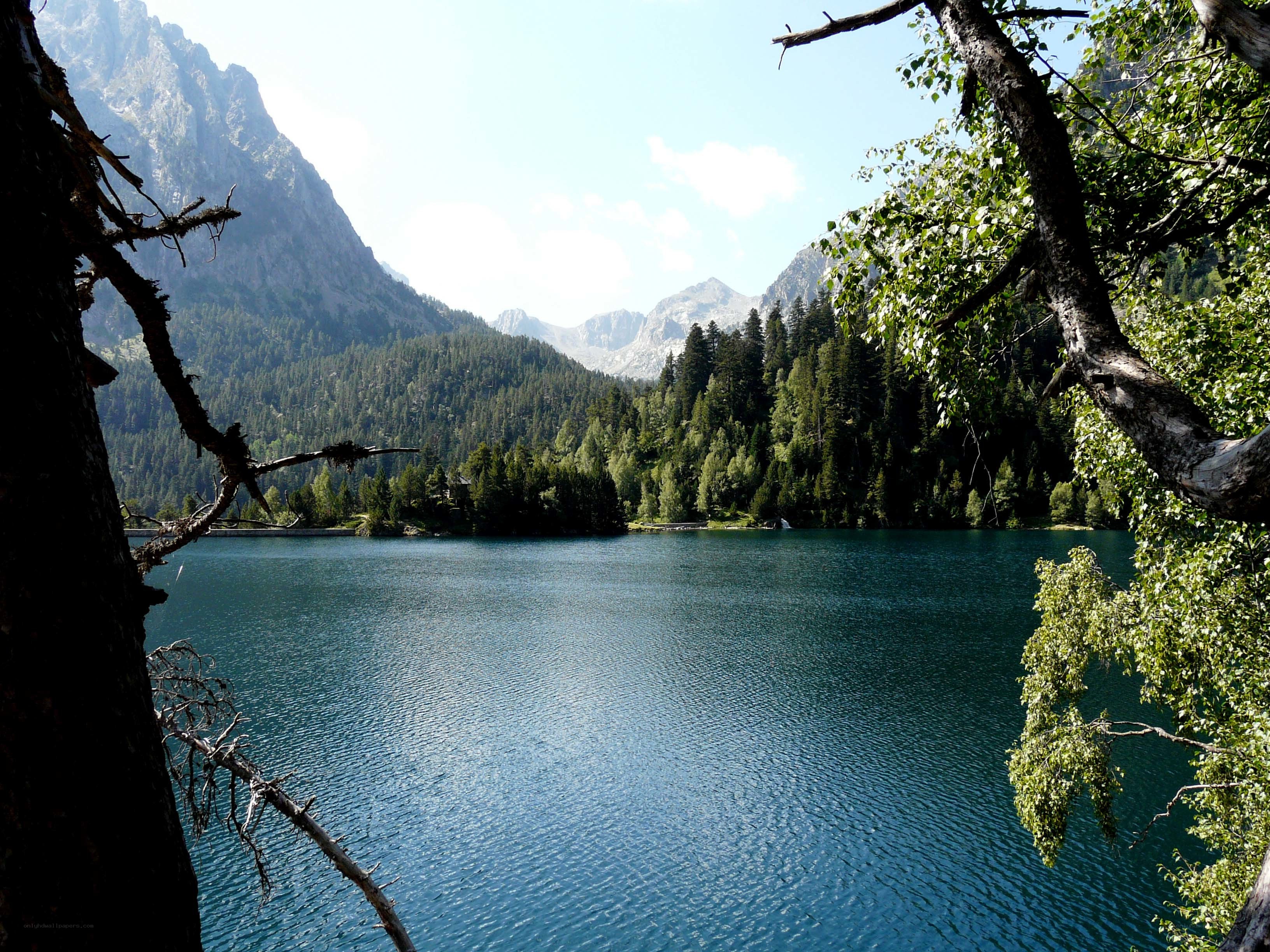 Mountain lake with forested slopes