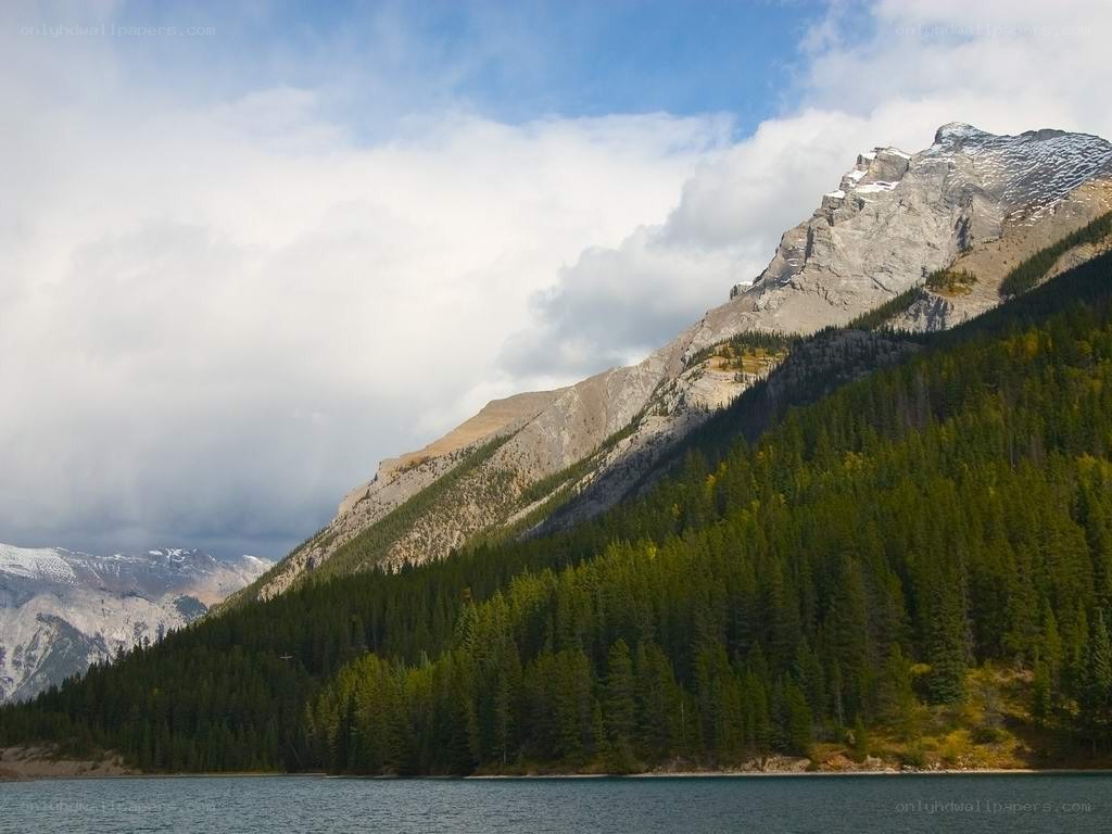 Mountain lake with forested slopes