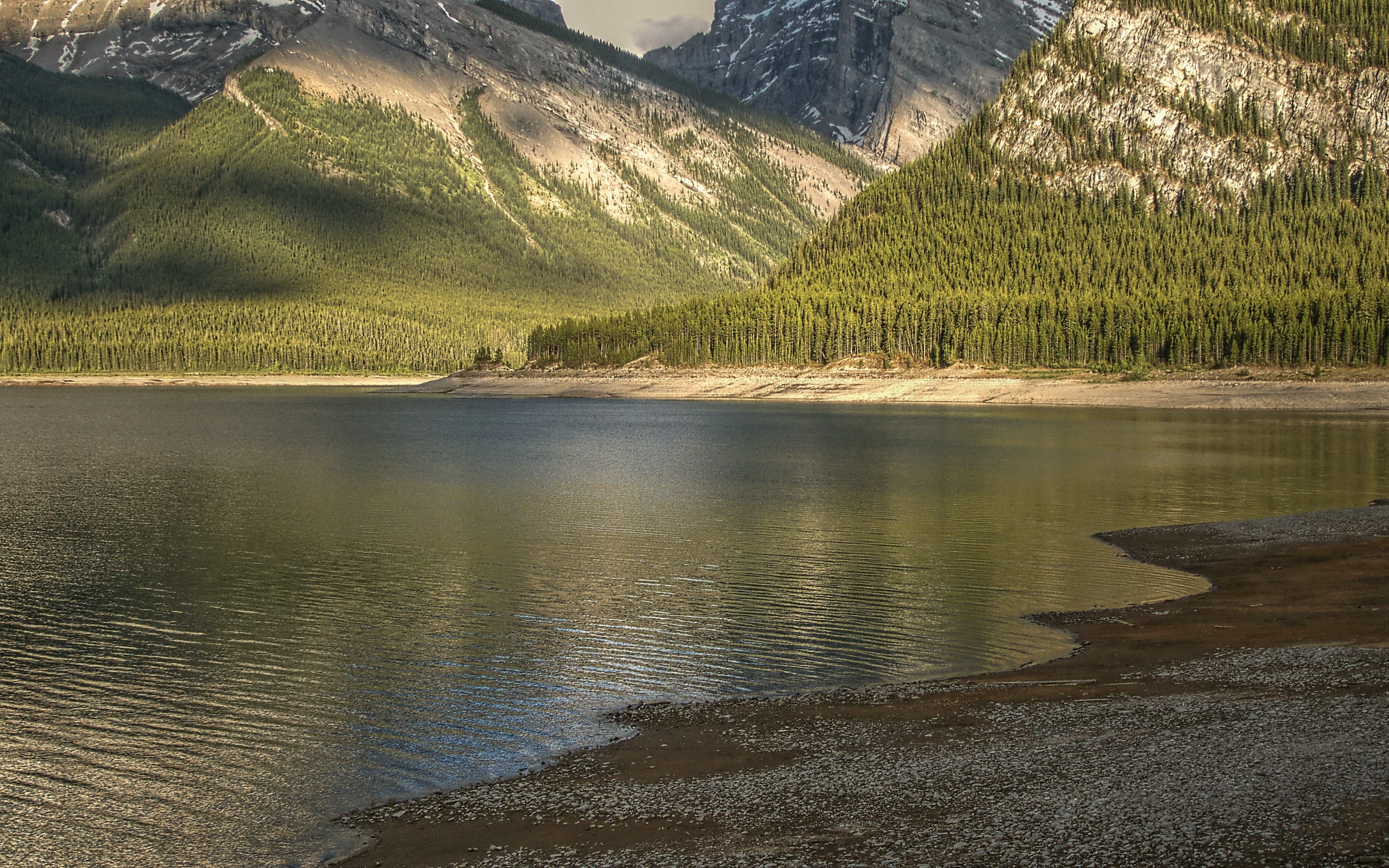 Mountain lake with forested slopes