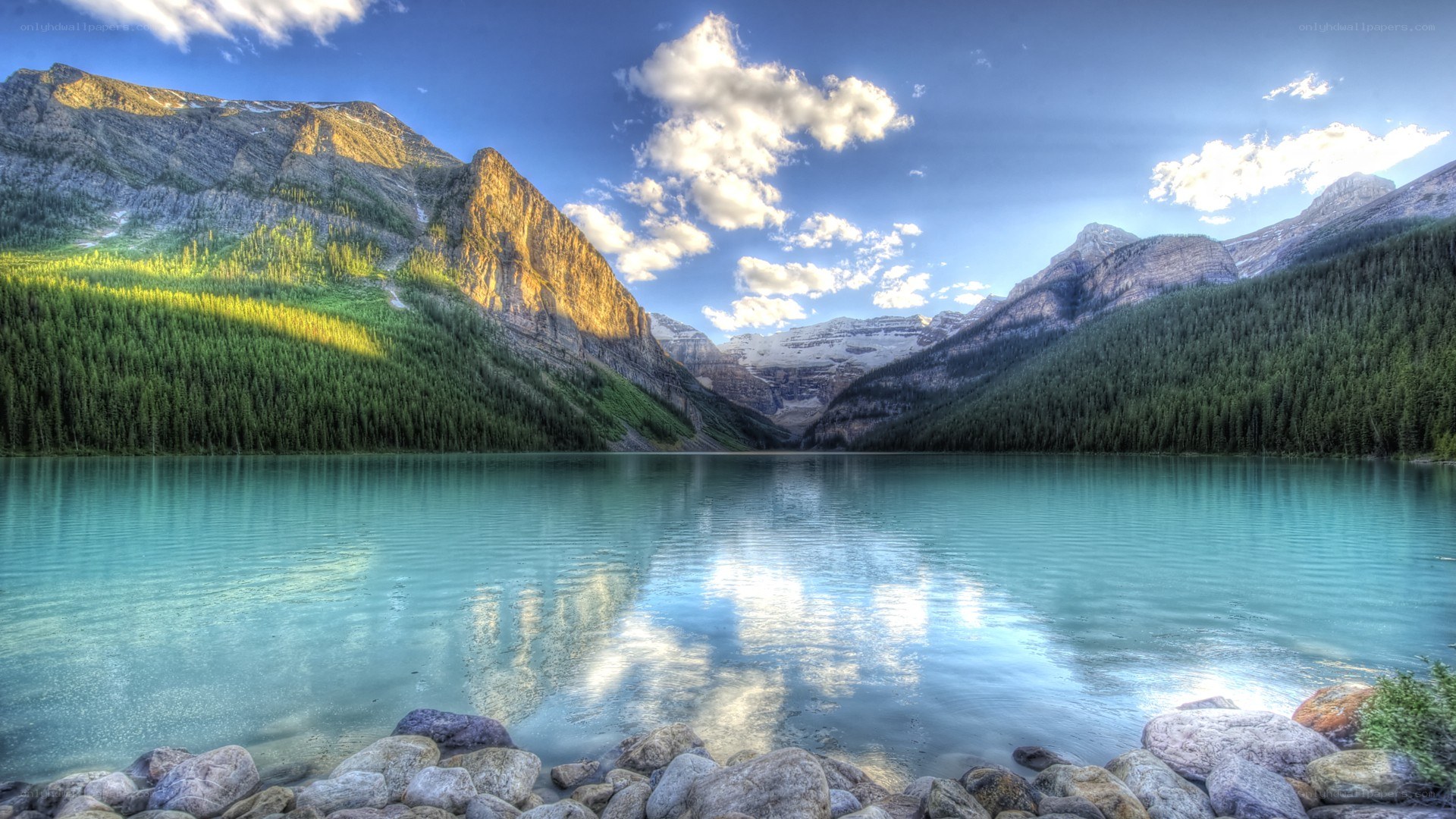 Mountain lake with forested slopes
