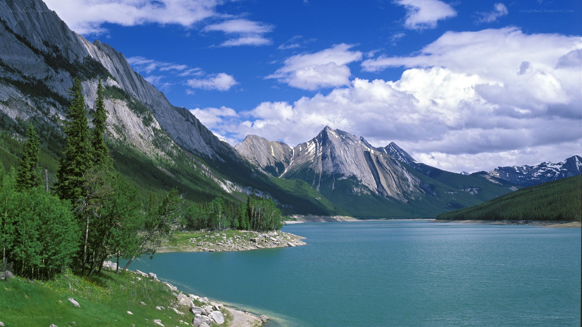 Mountain lake with forested slopes