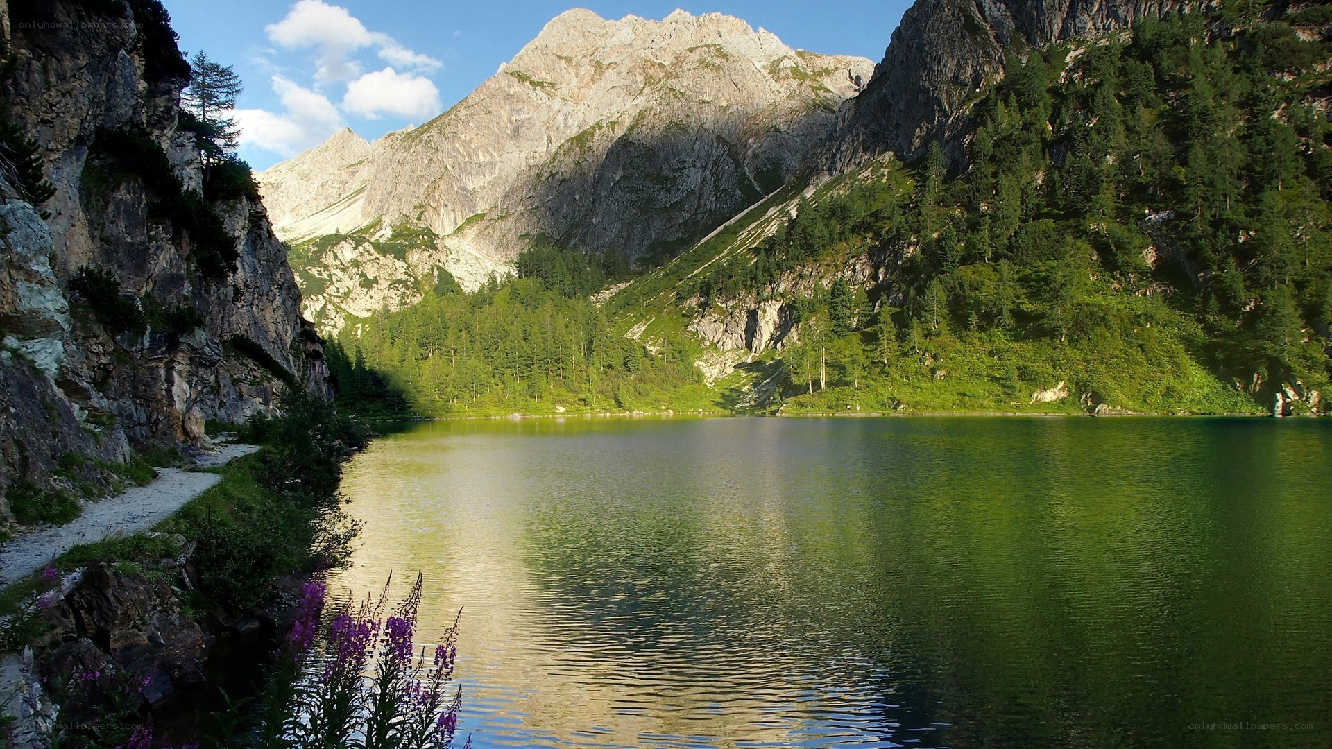 Mountain lake with forested slopes