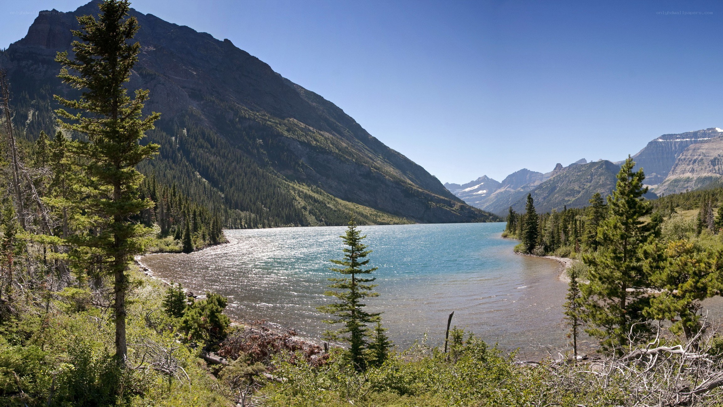 Mountain lake with forested slopes
