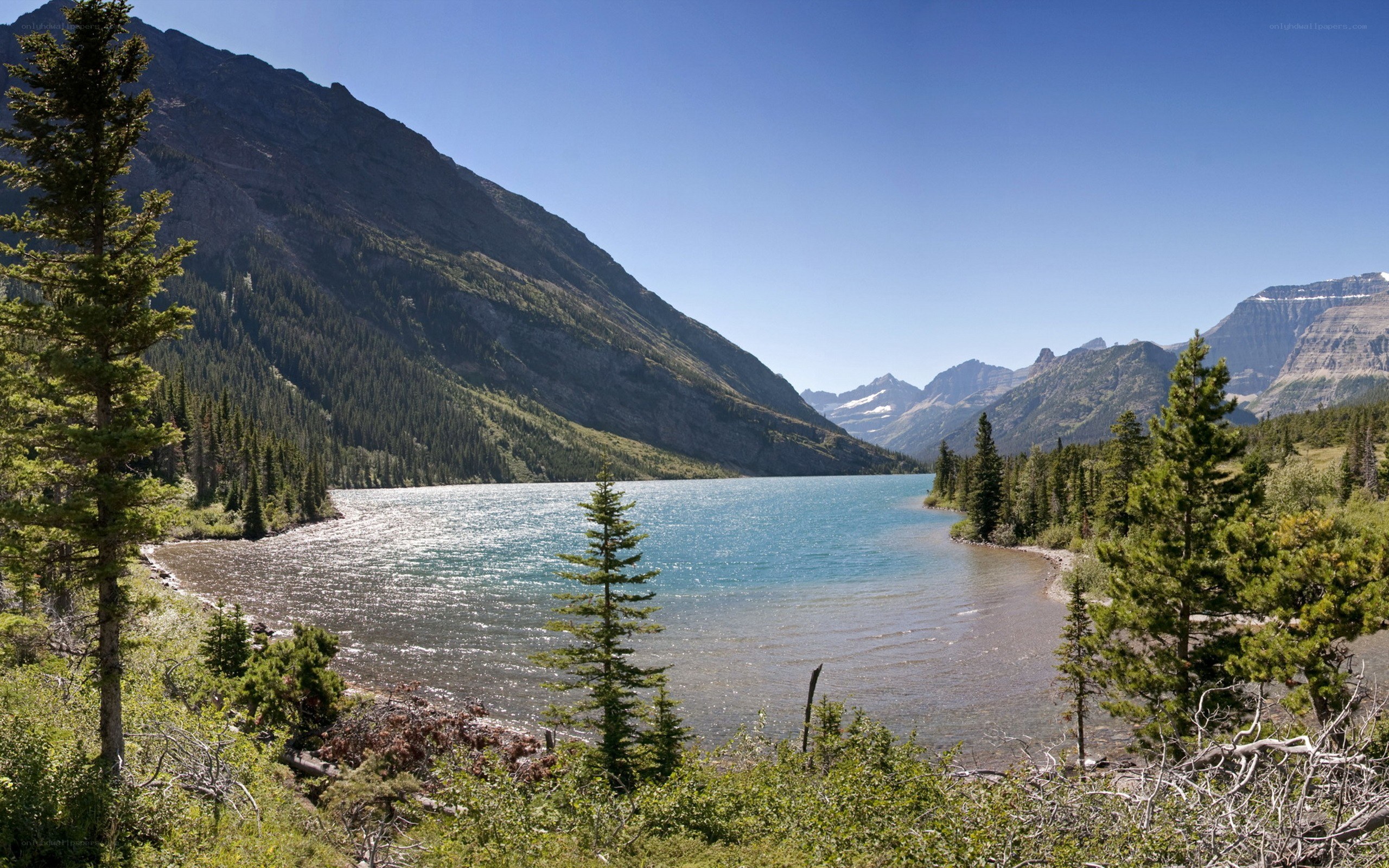 Mountain lake with forested slopes
