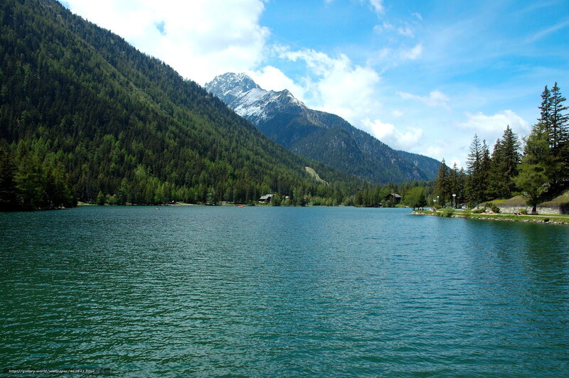 Mountain lake with forested slopes