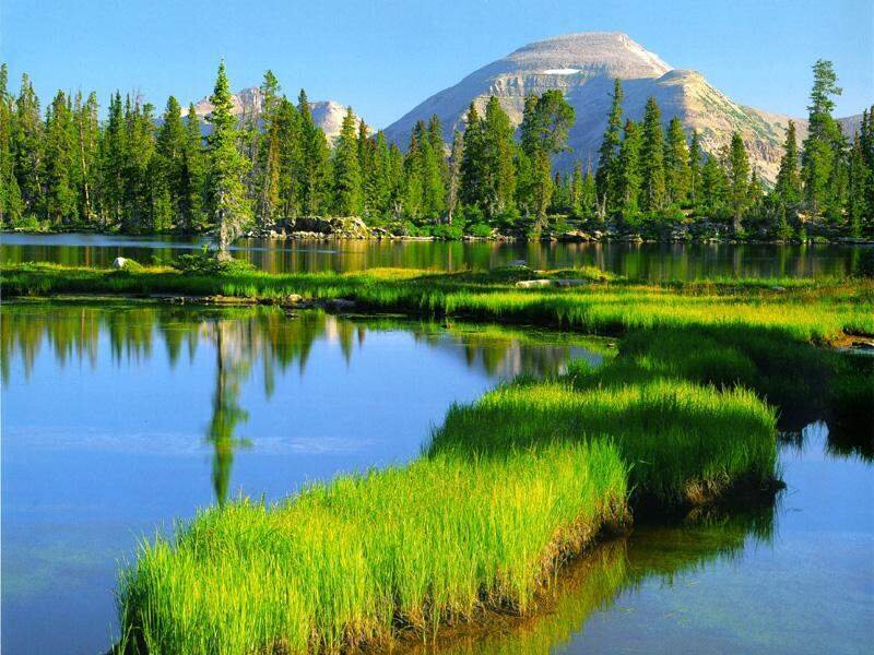 Mountain Lake with Grassy Islands — Blue