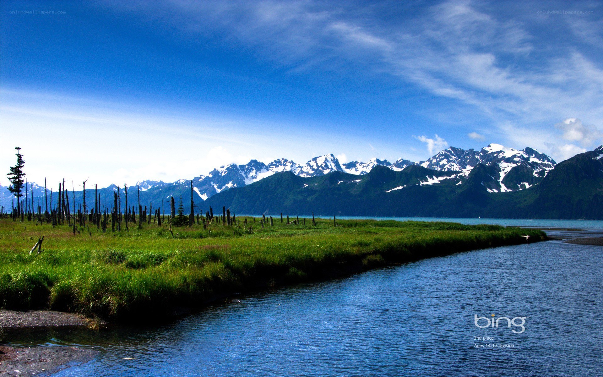 Mountain lake with green marsh