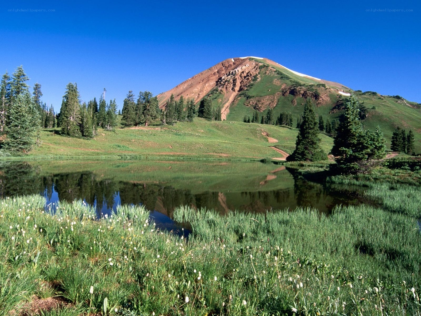 Mountain lake with green meadow