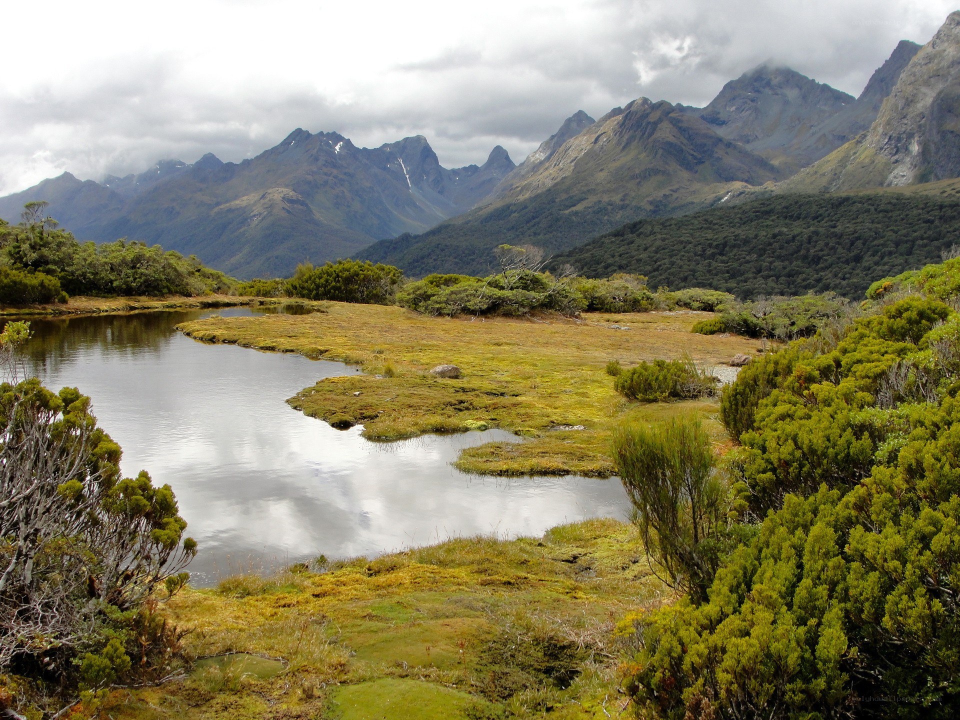 mountain lake with green shrubs