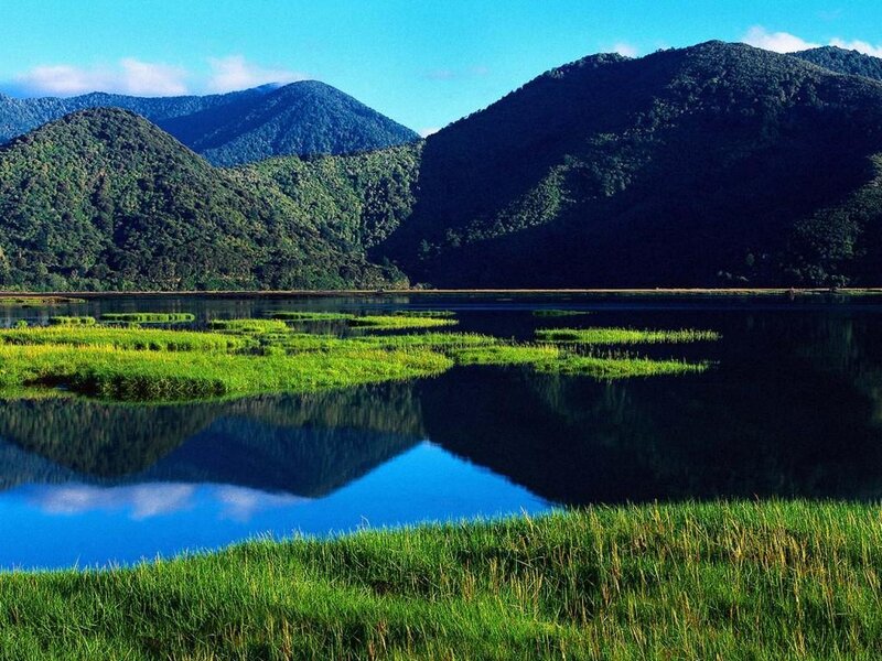 Mountain lake with green vegetation