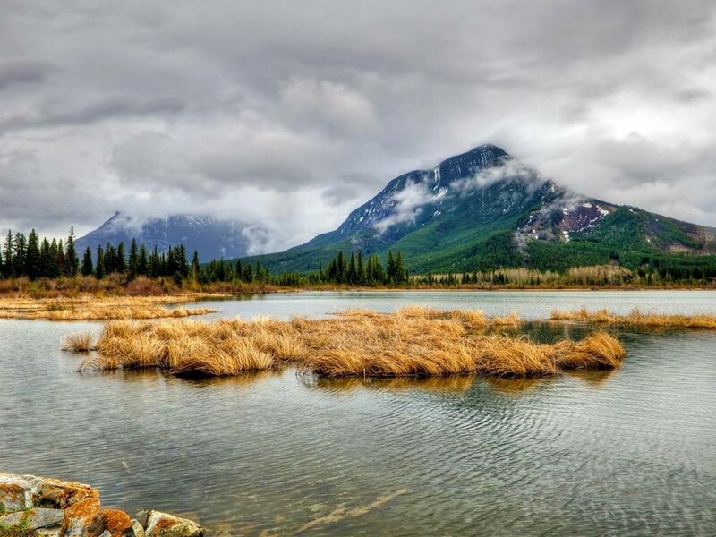 Mountain Lake with Marsh — Green