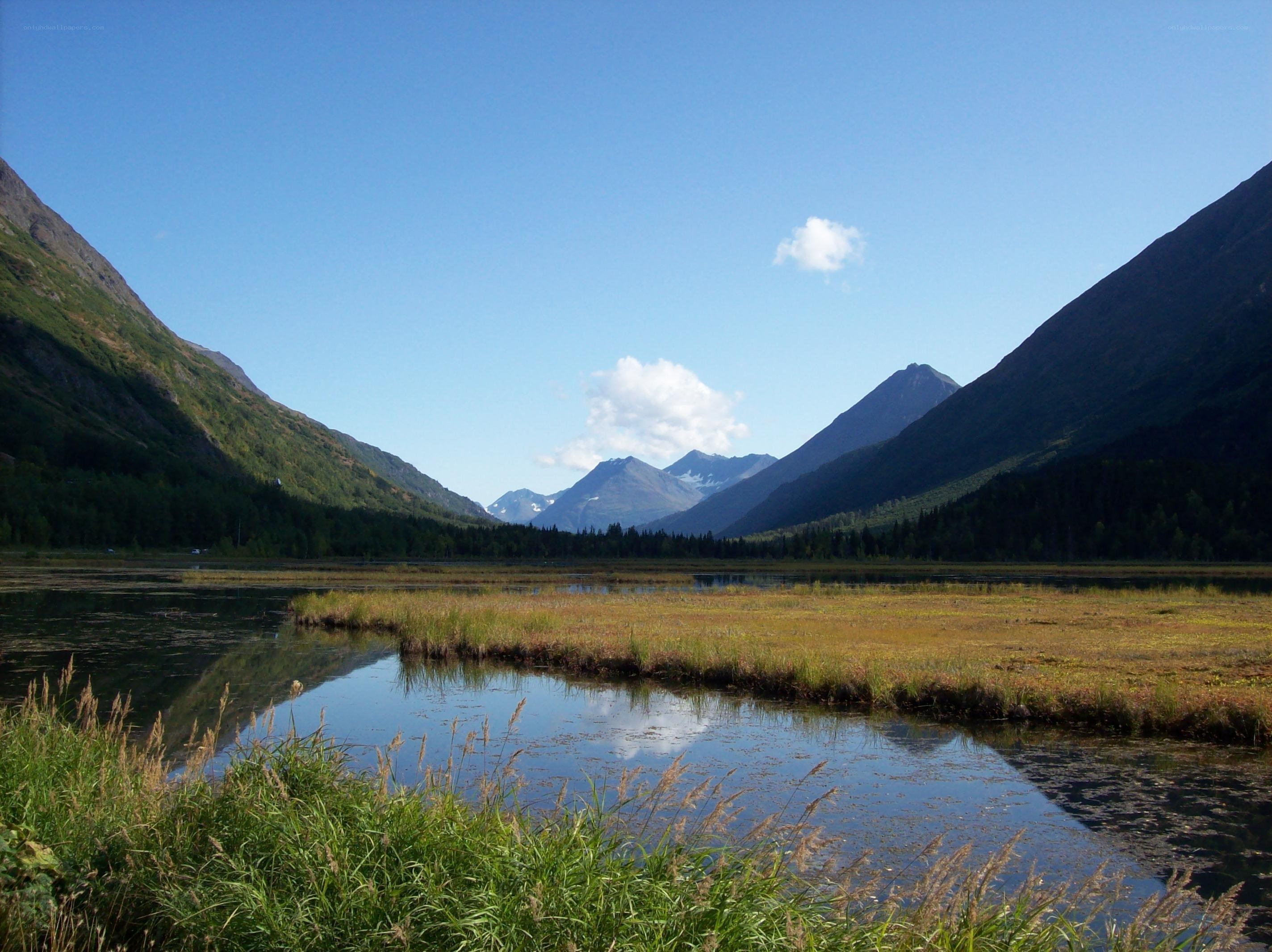 Mountain lake with marshland