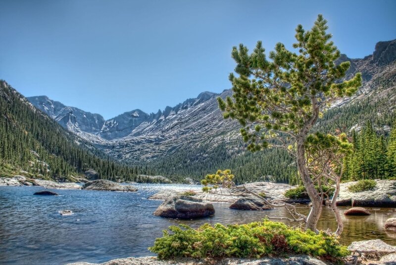 Mountain lake with pine tree
