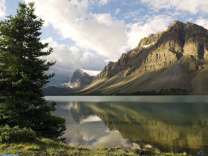 Mountain lake with pine tree