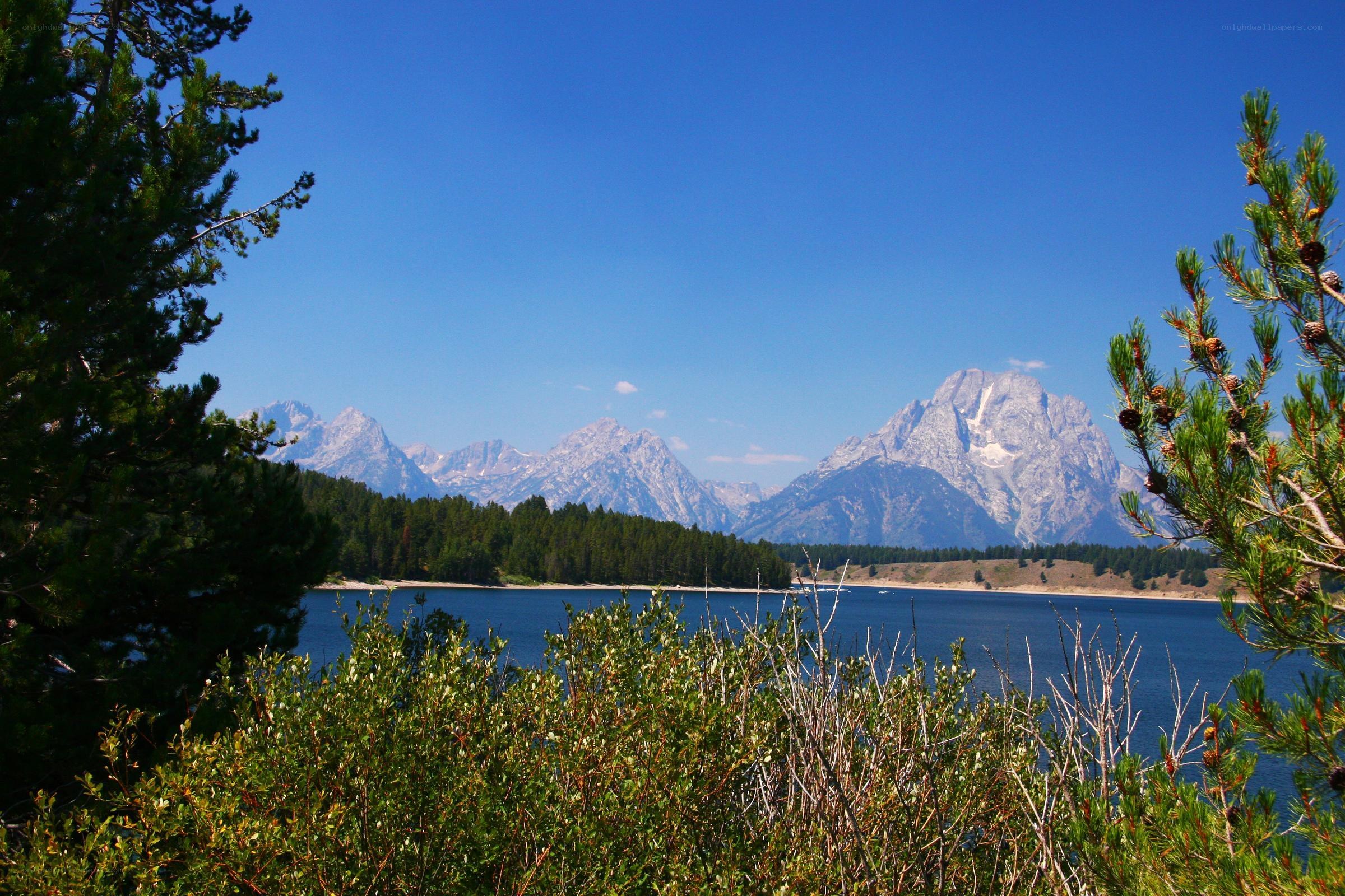 Mountain lake with pine trees