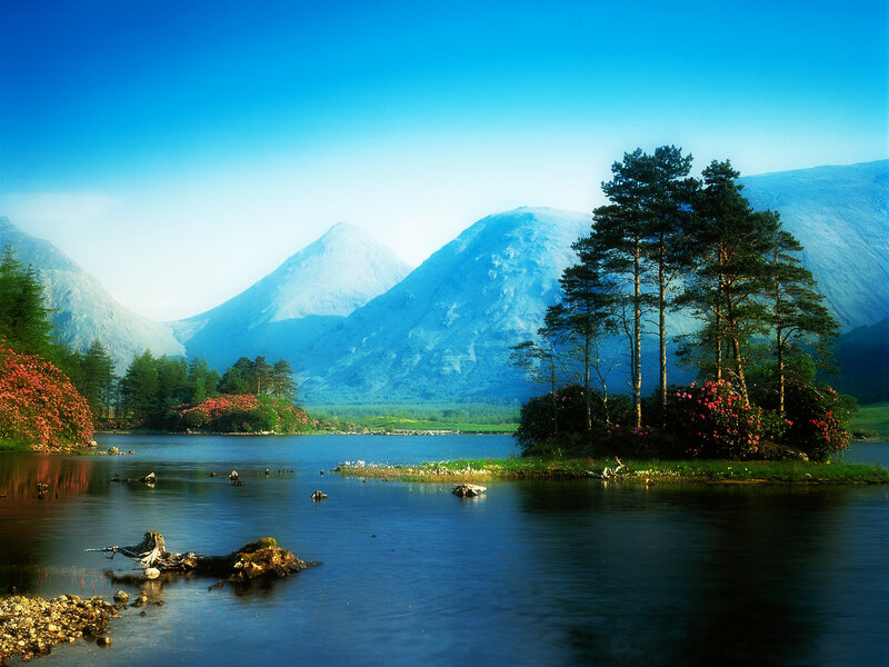 Mountain lake with pine trees
