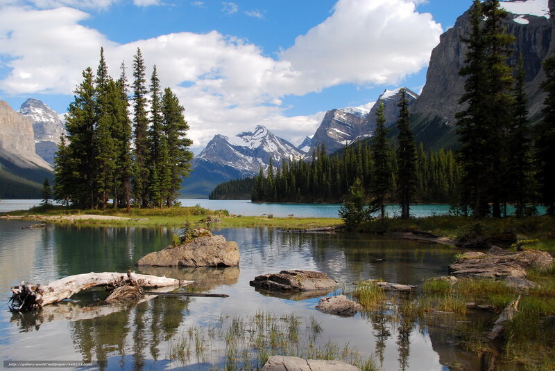 Mountain Lake with Pine Trees — Blue, Serene, Afternoon