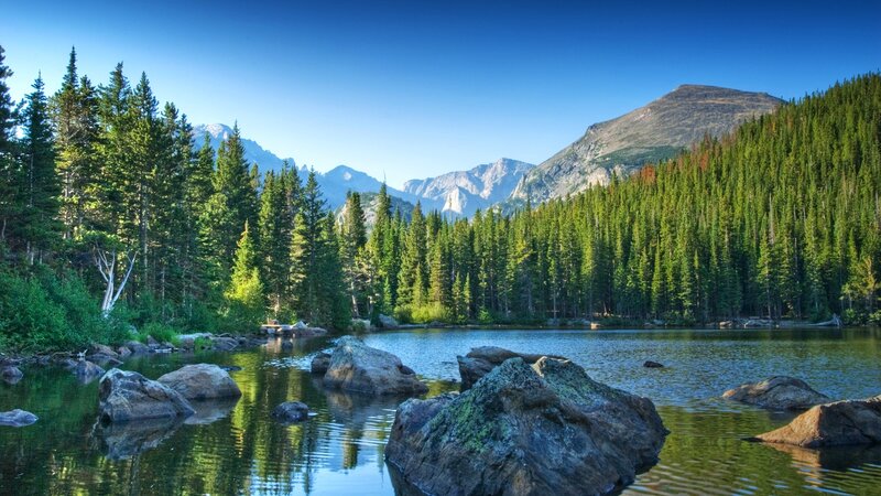 Mountain Lake with Pine Trees — Blue, Serene, Morning