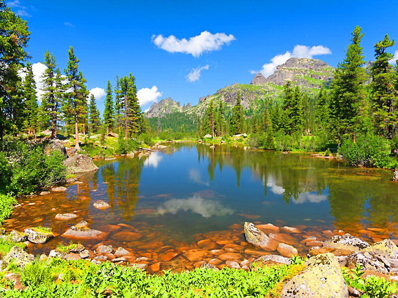 Mountain Lake with Pine Trees — Blue, Serene