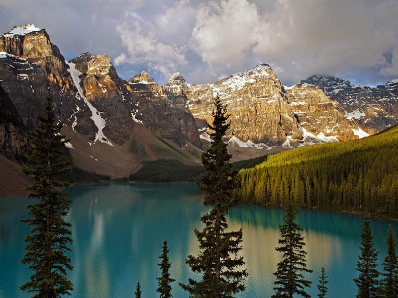 Mountain Lake with Pine Trees — Blue