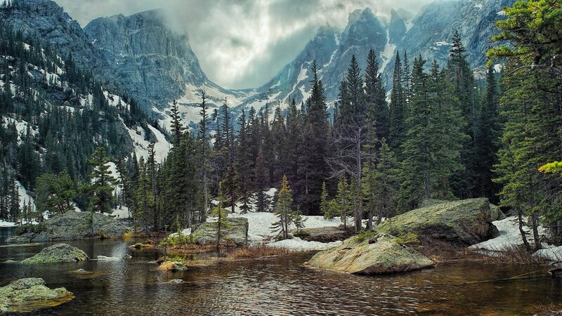 Mountain Lake with Pine Trees — Green, Dramatic, Spring