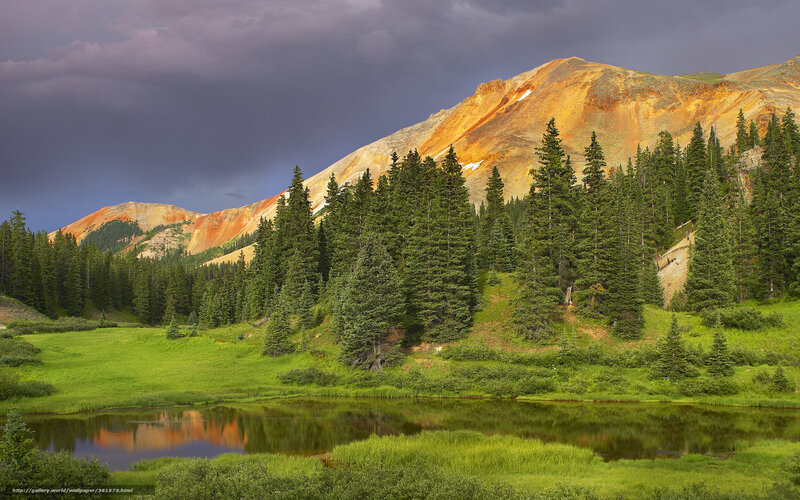 Mountain Lake with Pine Trees — Green, Dramatic