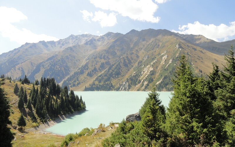 Mountain Lake with Pine Trees — Green, Serene, Afternoon