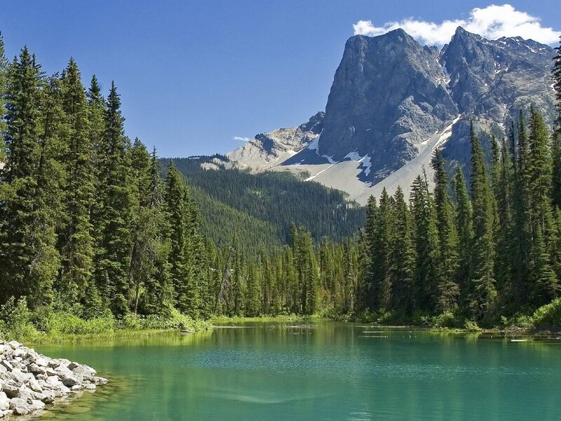 Mountain Lake with Pine Trees — Green