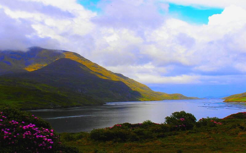 mountain lake with purple flowers