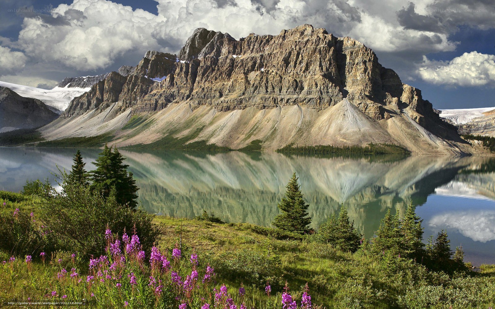 Mountain lake with purple flowers