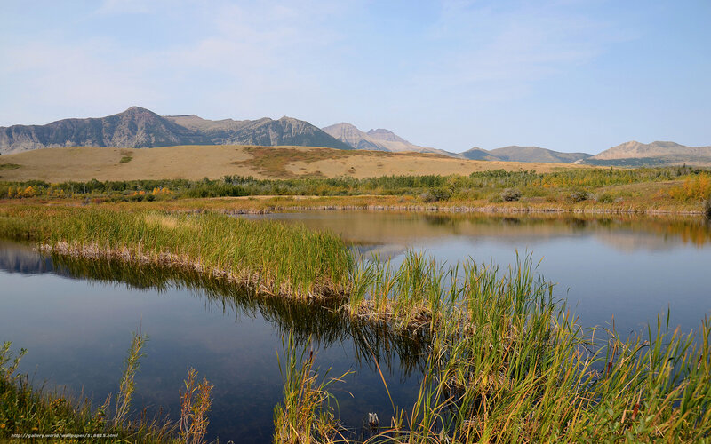Mountain lake with reeds